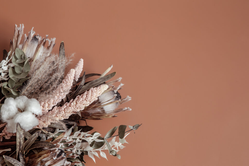 composition with dry wildflowers and cotton copy space. composition with dry wildflowers and cotton copy space.